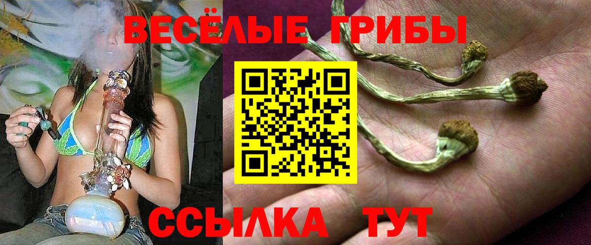 Псилоцибиновые грибы Psilocybine cubensis Кстово